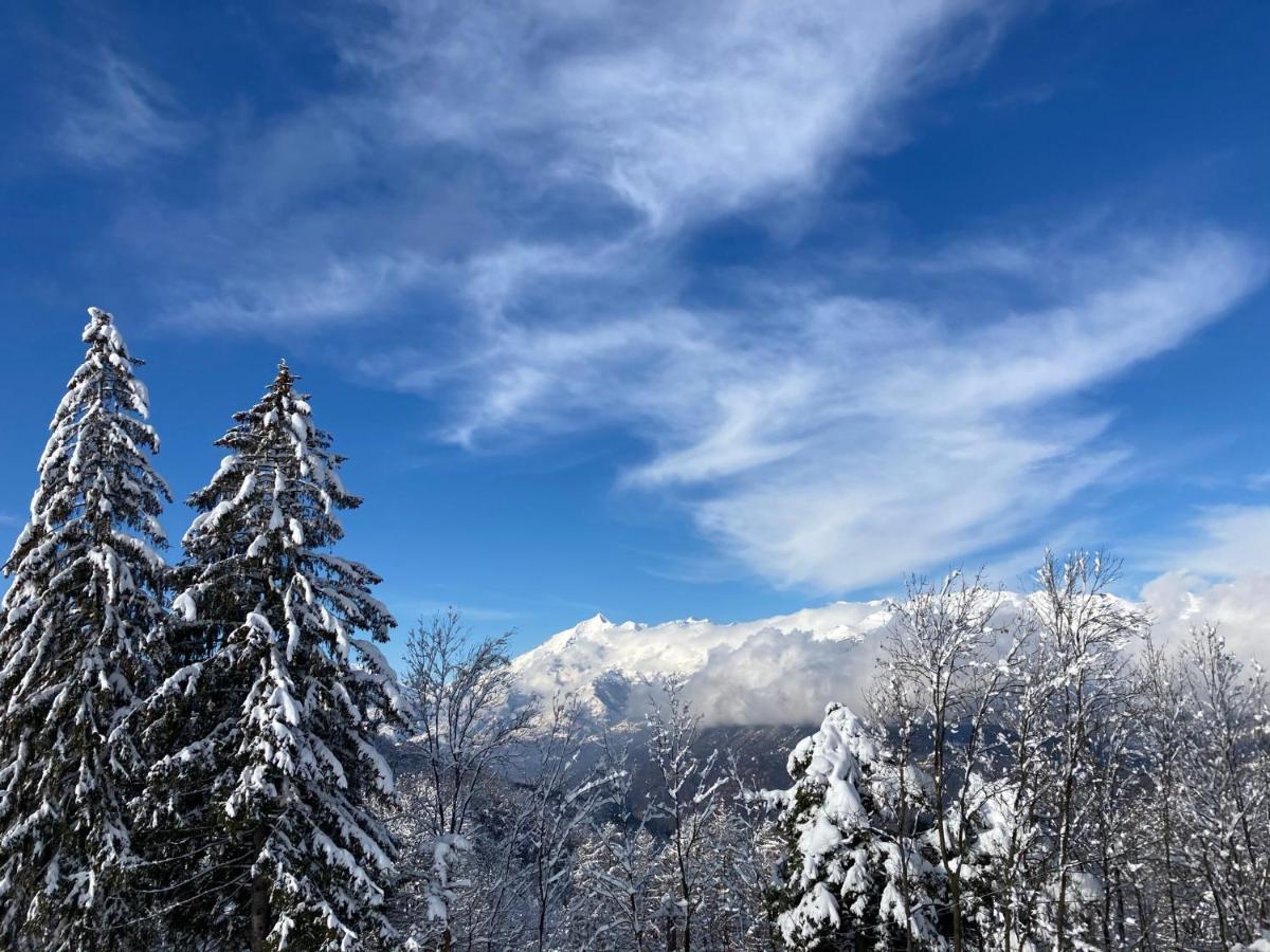 Il Ciapine Bed & Breakfast Giaveno Екстериор снимка
